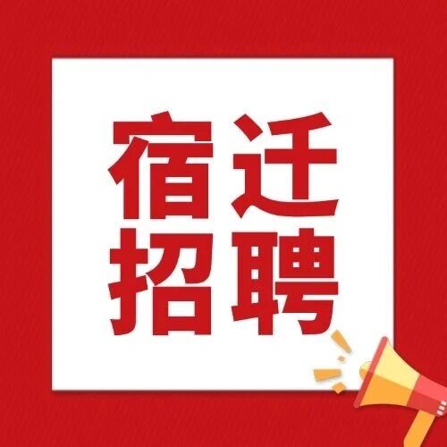 2025事业编！宿迁市数据局2025年局属事业单位公开招聘工作人员公告