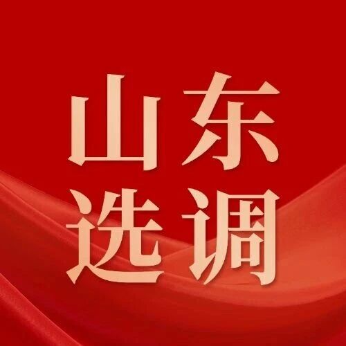 山东省2026年度选拔录用选调生公告